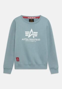 Alpha Industries BASIC KIDS TEENS UNISEX - Sweatshirt - Grey/blue