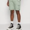 Alpha Industries COMBAT - Shorts - Dusty Green