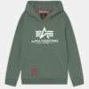 Alpha Industries BASIC HOODY KIDS TEENS - Kapuzenpullover - Ivy Green