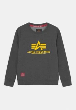 Alpha Industries BASIC KIDS/TEENS - Sweatshirt - Magenta 11 Alpha Industries BASIC KIDS/TEENS - Sweatshirt - Magenta -Alpha Industries bfbec71e4c964feaaef6c2b6d819dc50 1